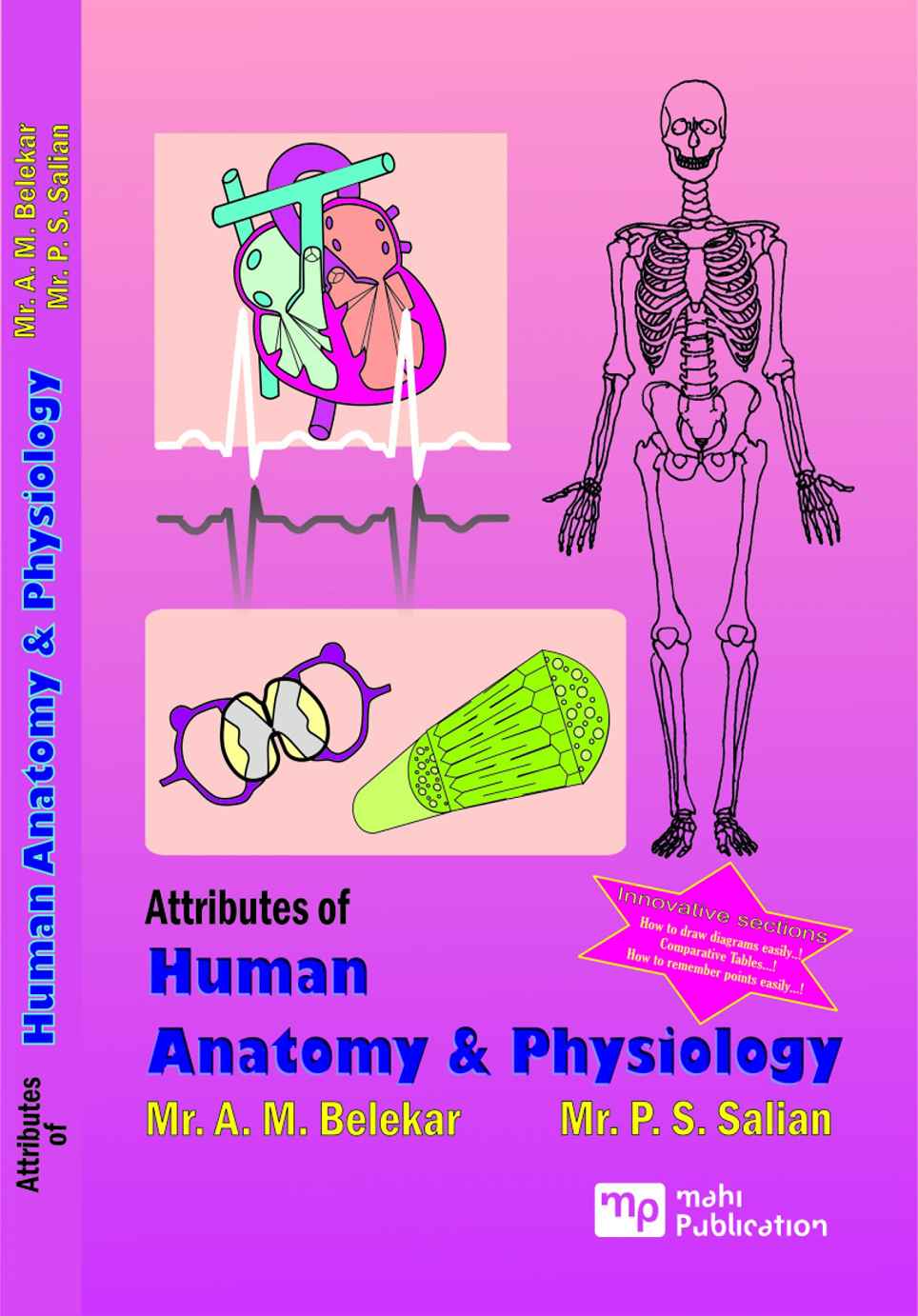 Attributes Of Human Anatomy & Physiology