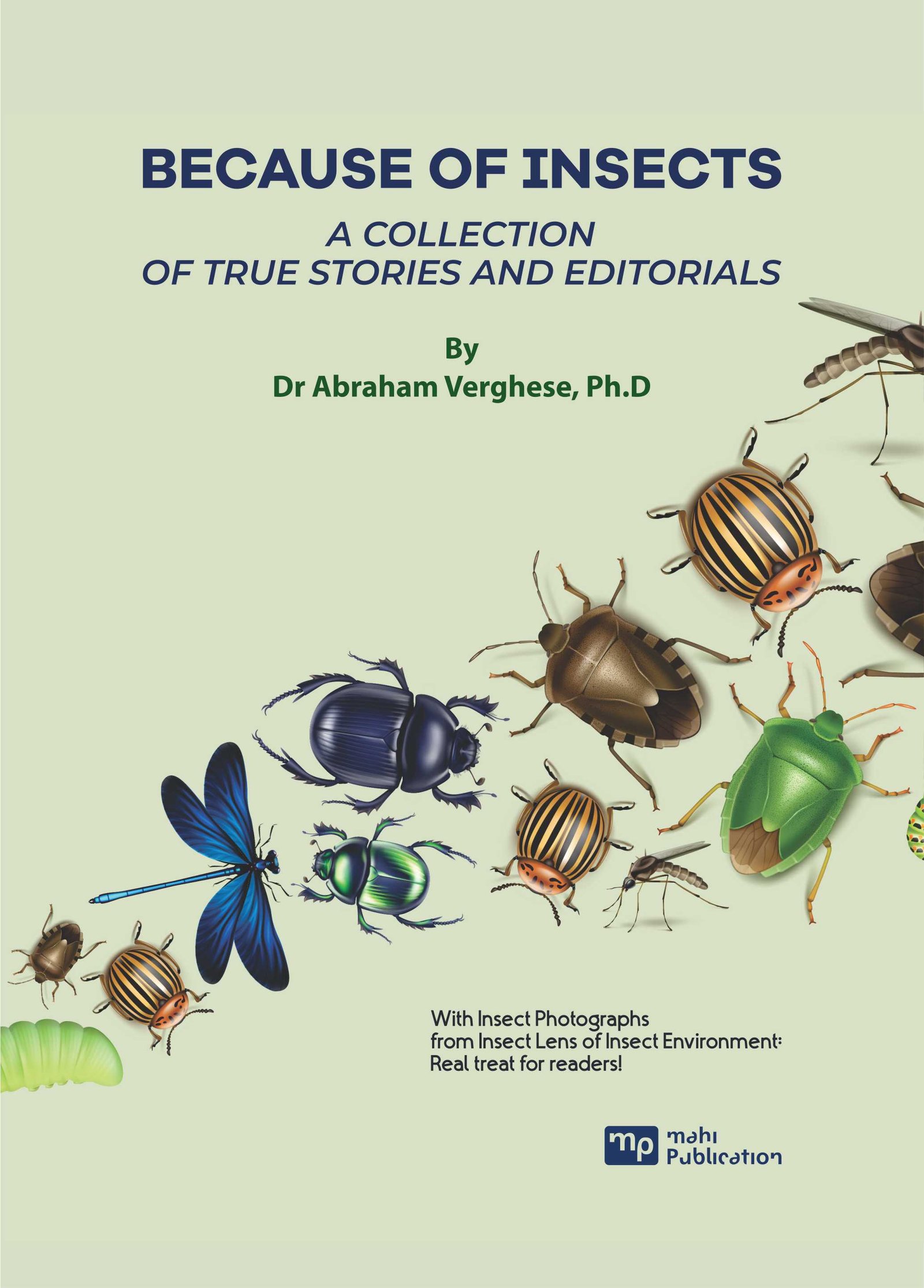 Because Of Insects A Collection Of True Stories And Editorials