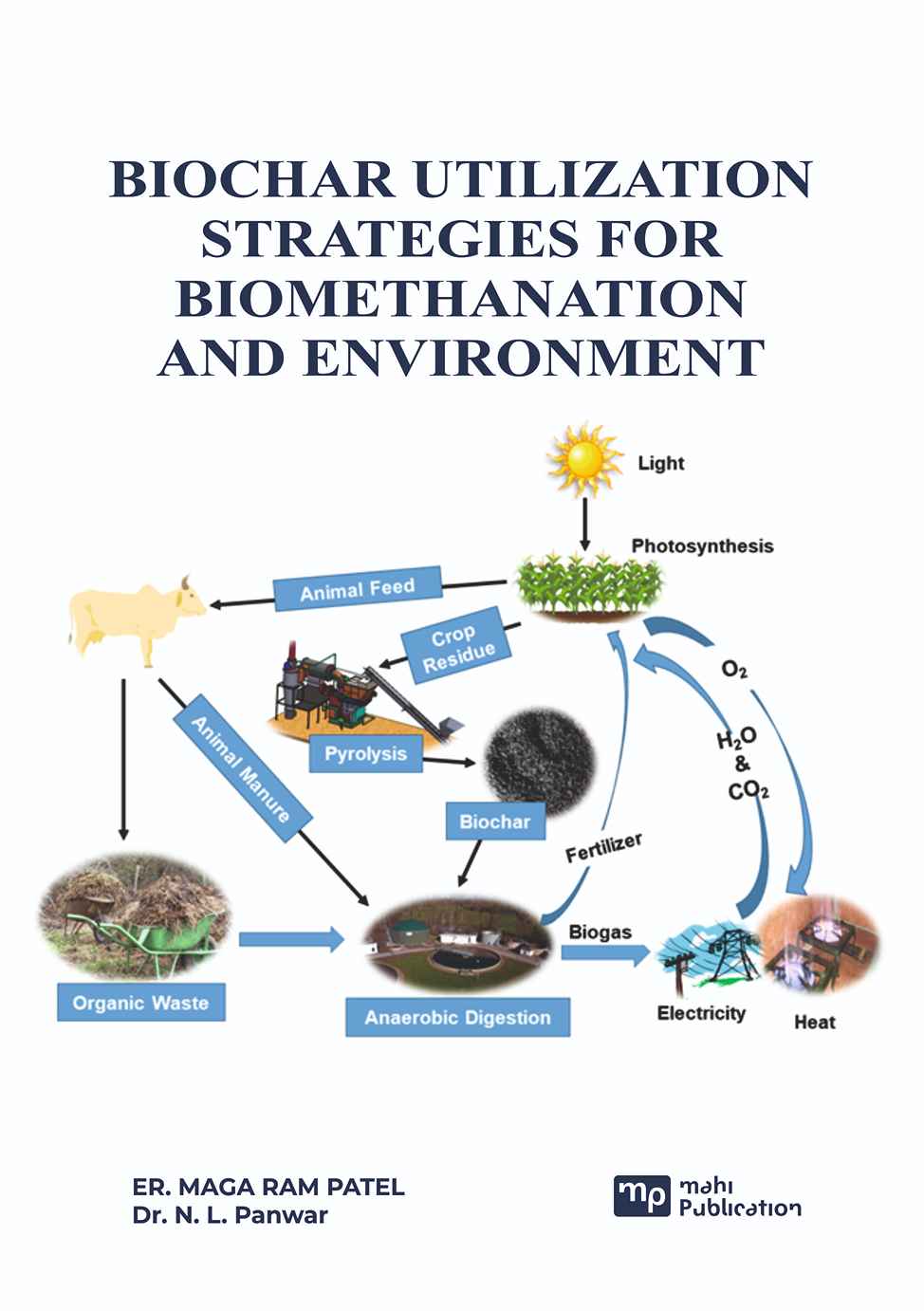 Biochar Utilization Strategies for Biomethanation and Environment