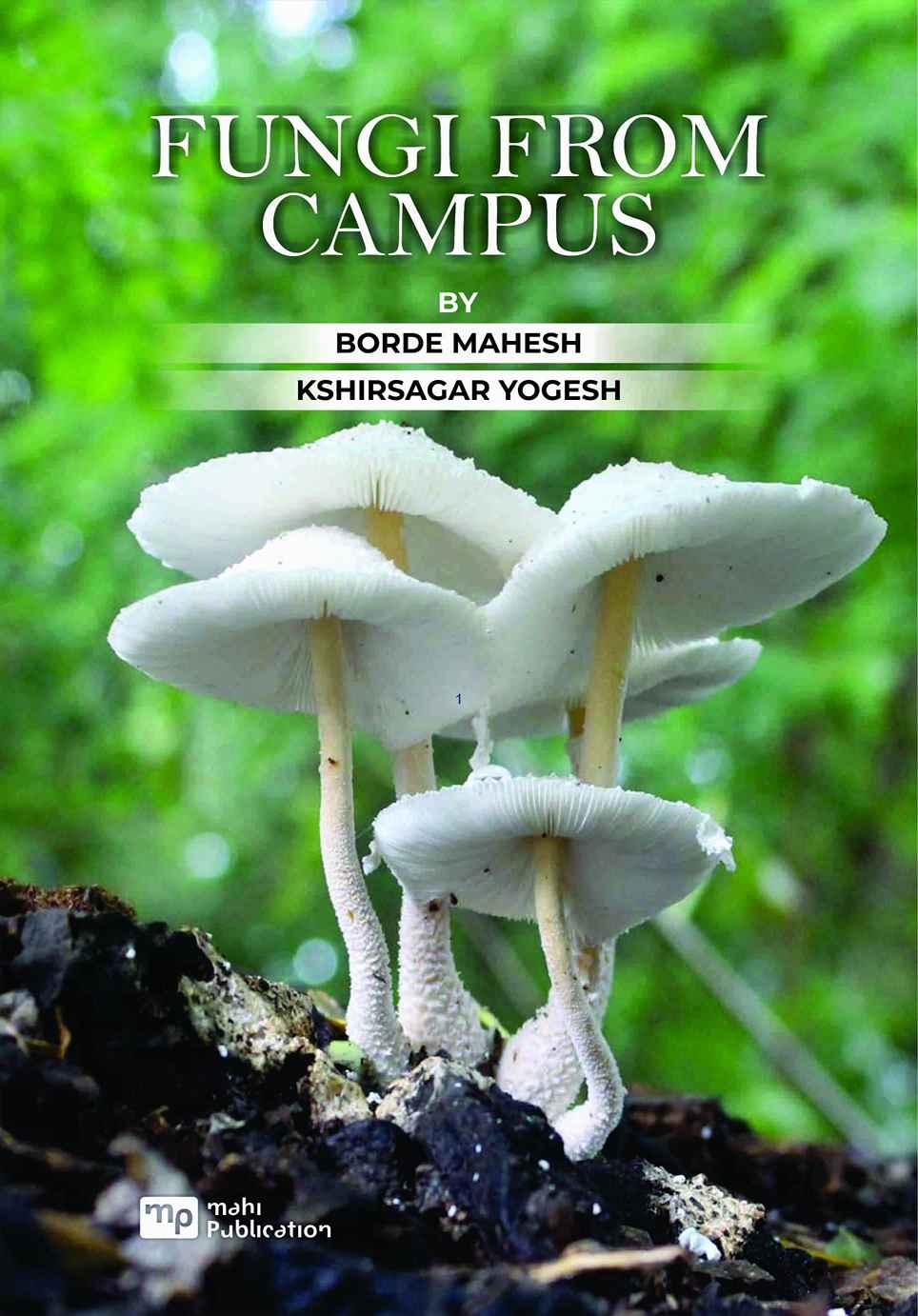 Fungi From Campus