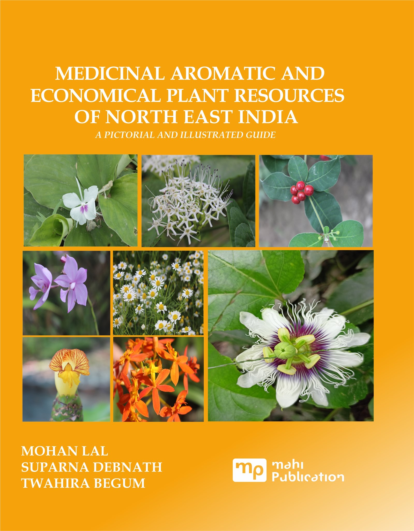 Medicinal Aromatic and Economical Plant Resources of North East India a Pictorial and Illustrated Guide