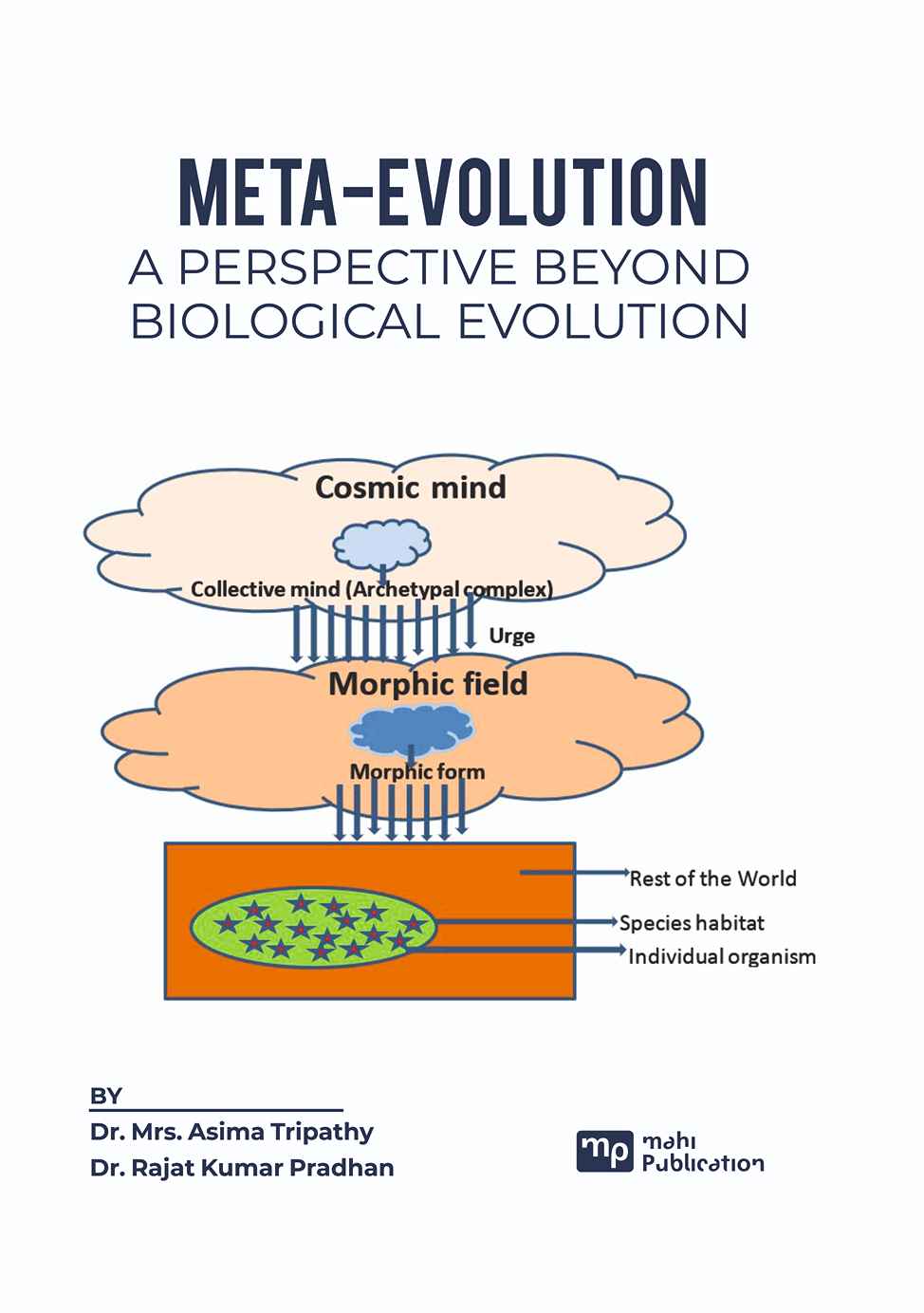 Meta-Evolution A Perspective Beyond Biological Evolution