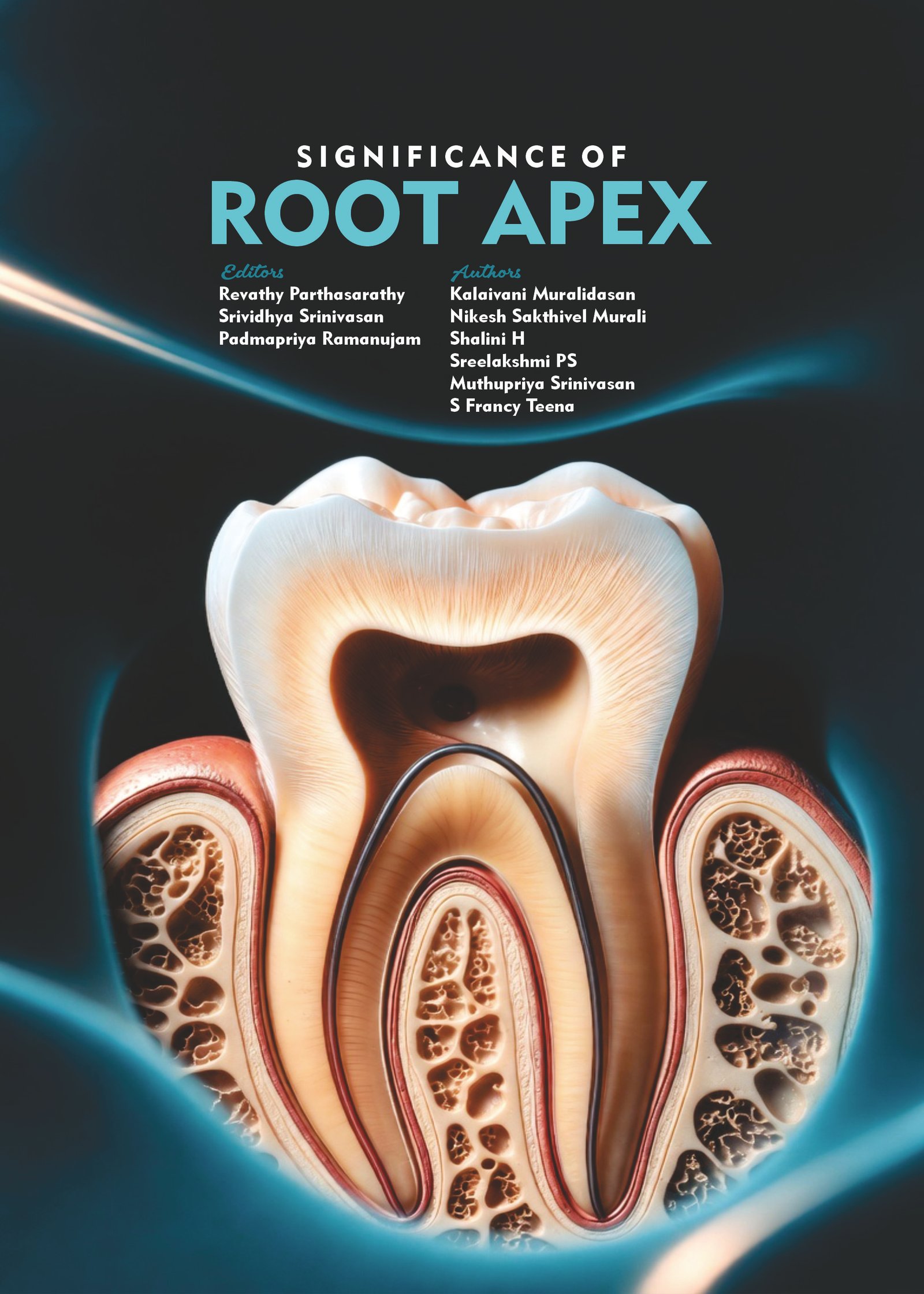 Significance of Root Apex